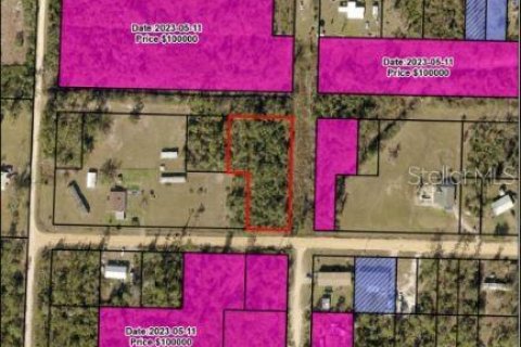 Land in Fountain, Florida № 1347295 - photo 5