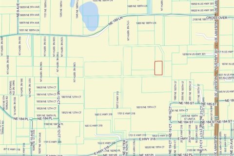 Terreno en venta en Citra, Florida № 2212900 - foto 3