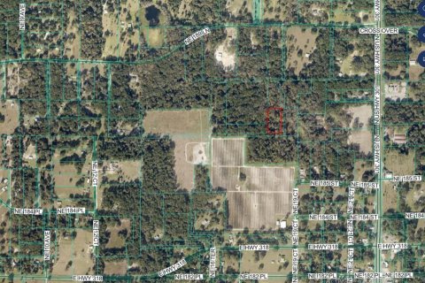 Terreno en venta en Citra, Florida № 2212900 - foto 4