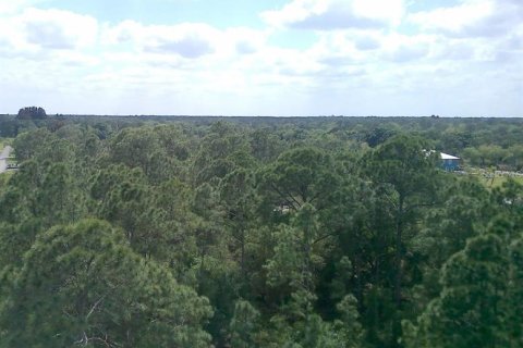 Terreno en Citra, Florida № 2212900
