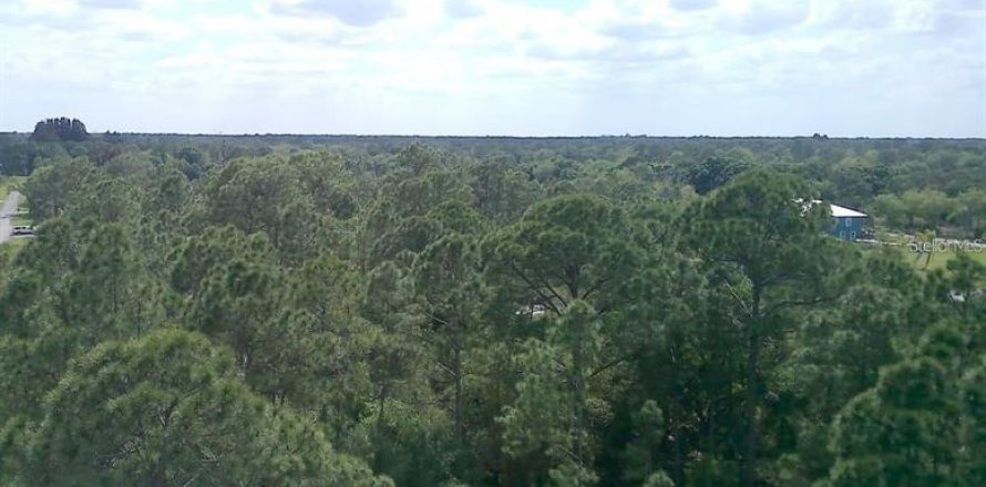 Terreno en Citra, Florida № 2212900