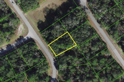 Land in Ocala, Florida № 2159503