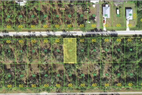 Land in Punta Gorda, Florida № 2165127