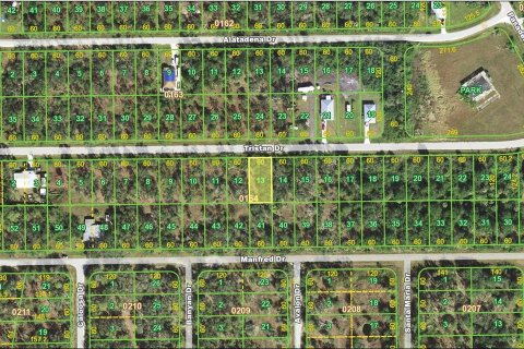 Land in Punta Gorda, Florida № 2165127 - photo 2