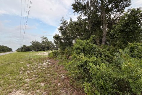 Terreno en venta en DeLand, Florida № 2197921 - foto 8