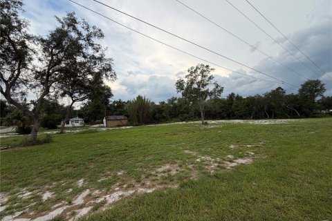 Terreno en venta en DeLand, Florida № 2197921 - foto 7
