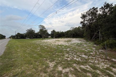 Land in DeLand, Florida № 2197921