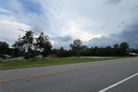 Terreno en venta en DeLand, Florida № 2197921 - foto 2