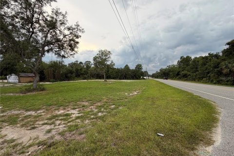 Terreno en venta en DeLand, Florida № 2197921 - foto 3
