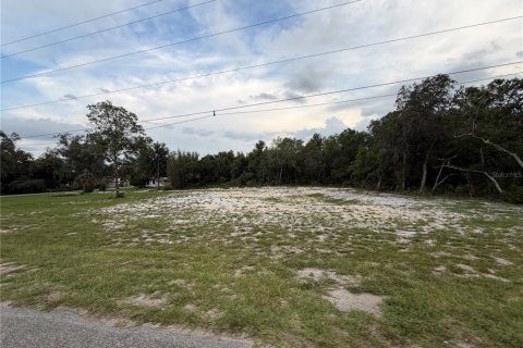 Terreno en venta en DeLand, Florida № 2197921 - foto 6