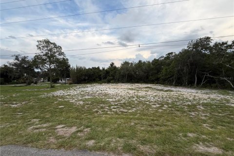 Terreno en venta en DeLand, Florida № 2197921 - foto 5