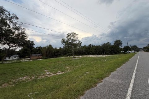 Terreno en venta en DeLand, Florida № 2197921 - foto 4