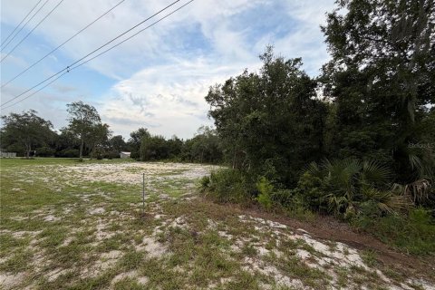 Terreno en venta en DeLand, Florida № 2197921 - foto 9