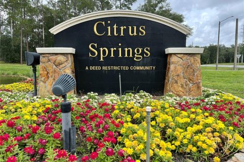 Villa ou maison à vendre à Citrus Springs, Floride: 3 chambres, 144.37 m2 № 1894338 - photo 30