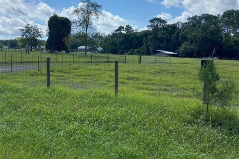 Land in Ocala, Florida № 1894516 - photo 4