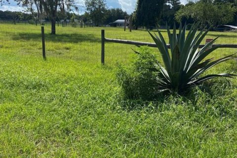 Land in Ocala, Florida № 1894516 - photo 3