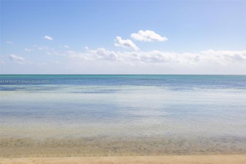 Casa en venta en Islamorada, Village of Islands, Florida, 4 dormitorios, 142.33 m2 № 1973038 - foto 25