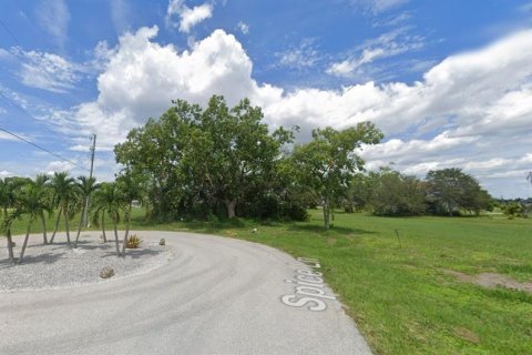 Land in Punta Gorda, Florida № 2160661 - photo 5