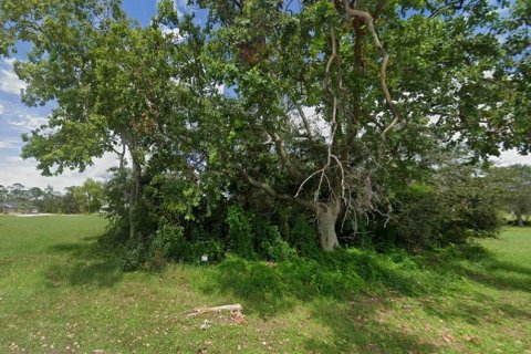 Land in Punta Gorda, Florida № 2160661 - photo 2