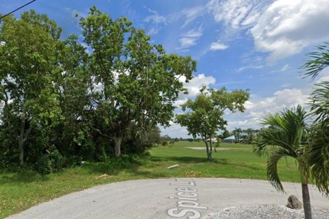 Land in Punta Gorda, Florida № 2160661 - photo 3