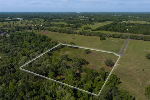 Terrain à vendre à Ocala, Floride № 2214962 - photo 14