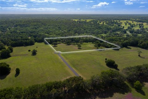 Terreno en Ocala, Florida № 2214962
