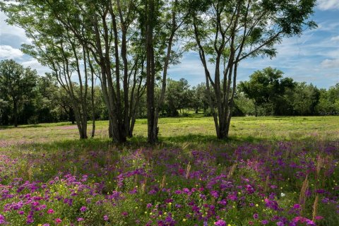 Terrain à vendre à Ocala, Floride № 2214962 - photo 8