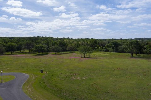 Terrain à vendre à Ocala, Floride № 2214962 - photo 6