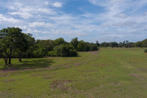 Terrain à vendre à Ocala, Floride № 2214962 - photo 10