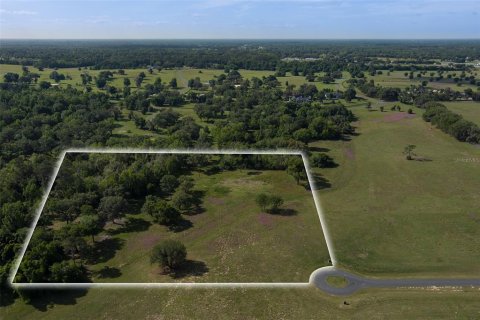 Terrain à vendre à Ocala, Floride № 2214962 - photo 2