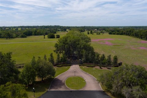 Terrain à vendre à Ocala, Floride № 2214962 - photo 3