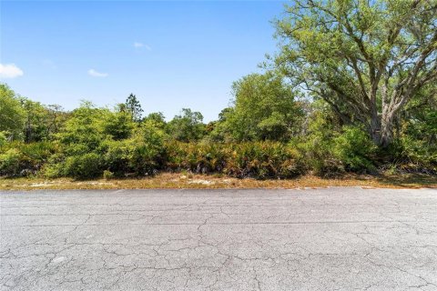 Land in Crystal River, Florida № 2162982