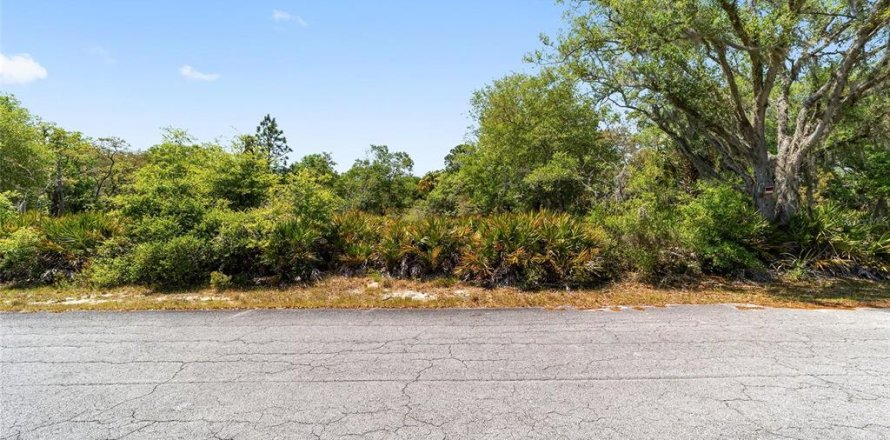 Land in Crystal River, Florida № 2162982