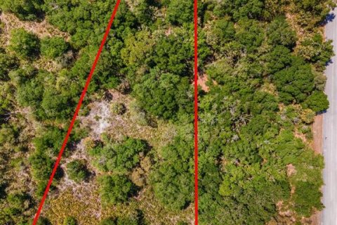 Land in Crystal River, Florida № 2162982 - photo 2