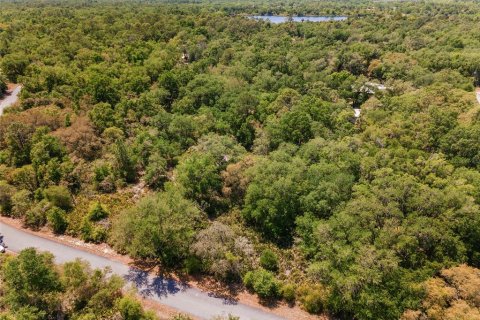 Land in Crystal River, Florida № 2162982 - photo 3