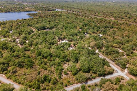 Land in Crystal River, Florida № 2162982 - photo 4