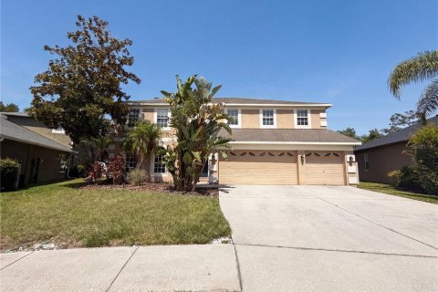 House in Land O' Lakes, Florida 5 bedrooms, 341.23 sq.m. № 2114087