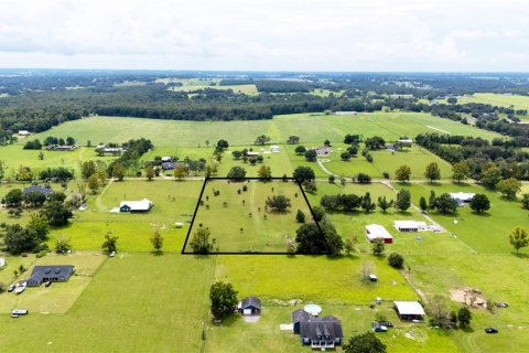 Land in Dade City, Florida № 1900649 - photo 6