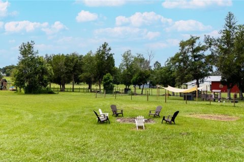 Land in Dade City, Florida № 1900649 - photo 13