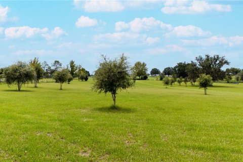 Land in Dade City, Florida № 1900649 - photo 20