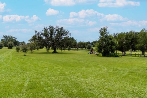 Land in Dade City, Florida № 1900649 - photo 22