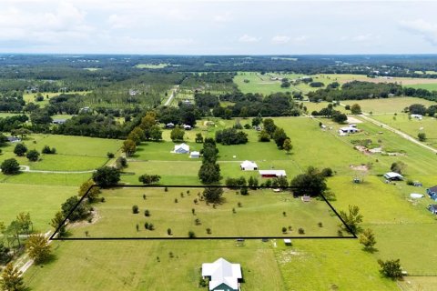 Land in Dade City, Florida № 1900649 - photo 4