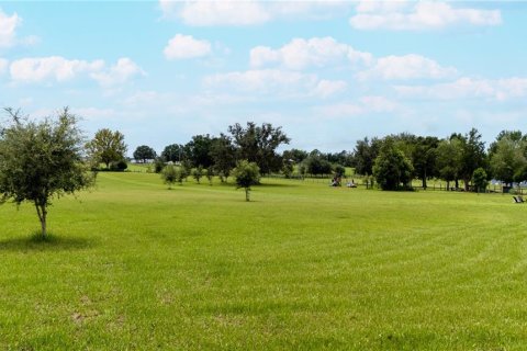 Land in Dade City, Florida № 1900649 - photo 21