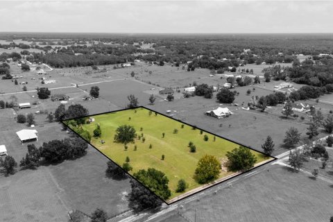 Land in Dade City, Florida № 1900649 - photo 8