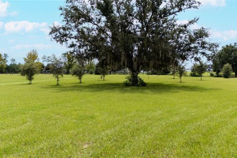 Land in Dade City, Florida № 1900649 - photo 18