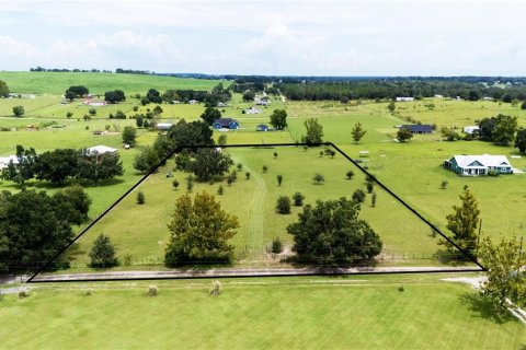 Land in Dade City, Florida № 1900649 - photo 2