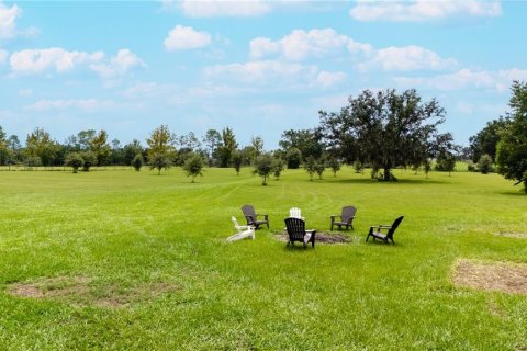 Land in Dade City, Florida № 1900649 - photo 15