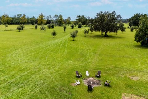 Land in Dade City, Florida № 1900649 - photo 16