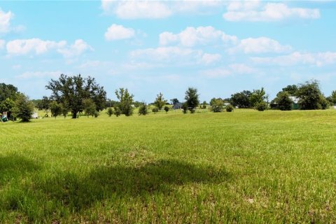 Land in Dade City, Florida № 1900649 - photo 17