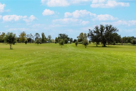 Land in Dade City, Florida № 1900649 - photo 19